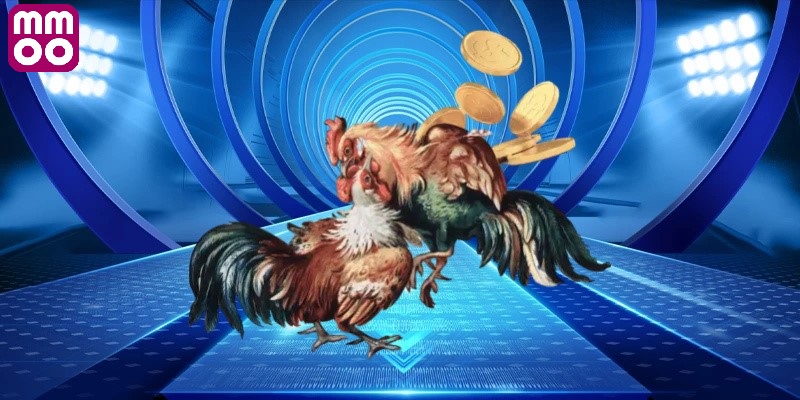 Bật mí thế giới đá gà thomo MMOO