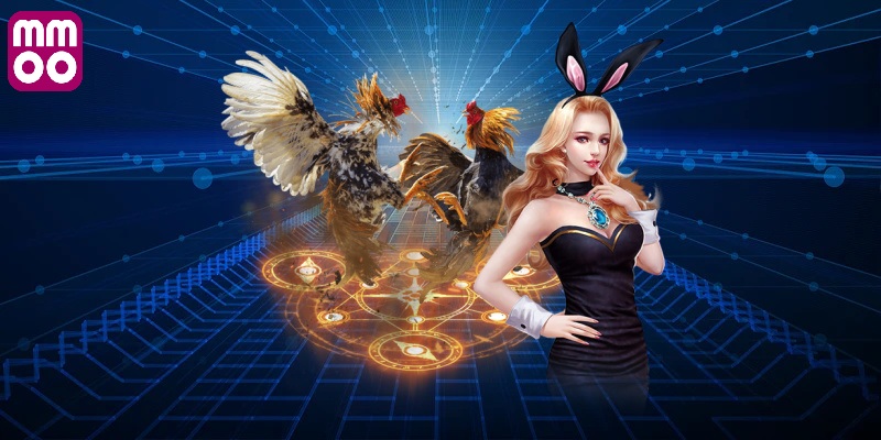 Đá gà MMOO - Đấu trường kê siêu kinh điển 