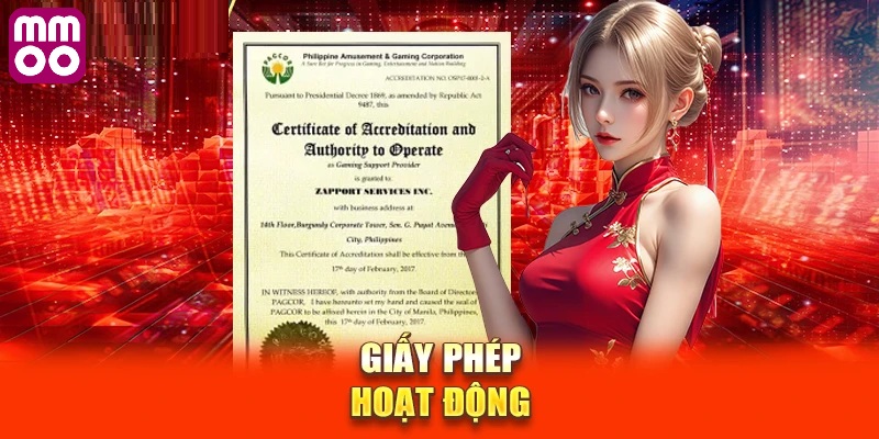Tổng quan về giấy phép hoạt động MMOO